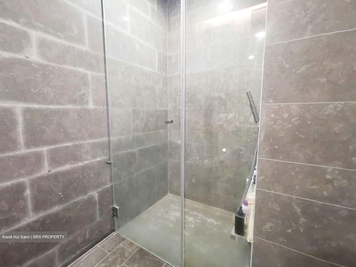 Skysuites@Anson (D2), Apartment #592451511